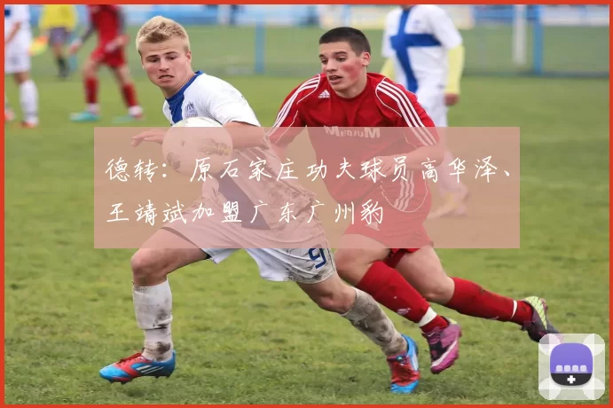 德转：原石家庄功夫球员高华泽、王靖斌加盟广东广州豹